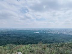 -紫金山山顶公园