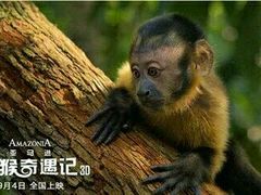 -金逸影城(联发广场店)