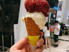 黑加仑咸花生-LUNEURS月乐诗·法式冰淇淋(环贸店)