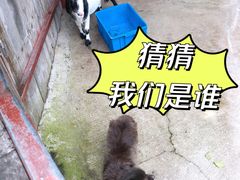 -太极禅苑