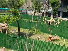 -沈阳森林动物园