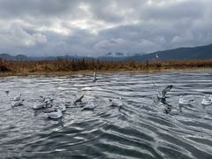 -丽江泸沽湖景区