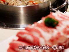 -浩爷羊蝎子火锅(望京店)