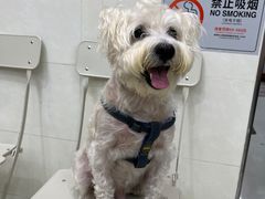 -瑞鹏宠物医院·微创内窥镜·骨外科·牙科(翠竹分院)