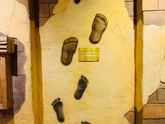 -信不信由你博物馆