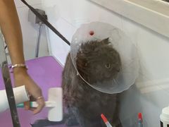 -宠颐生动物医院·心脏科·保险定点(锦阳分院)