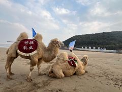 -东海半边山旅游度假区