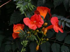 -灞河西岸滨河公园