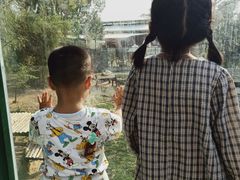 -泉州海丝野生动物世界