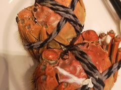 -上海浦东康桥绿地假日酒店