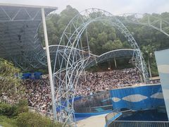 -深圳野生动物园
