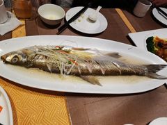 太湖大白鱼-江南原著(中联广场店)