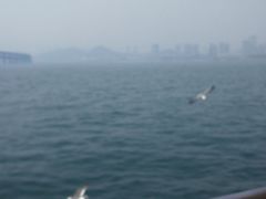 -星海湾跨海大桥