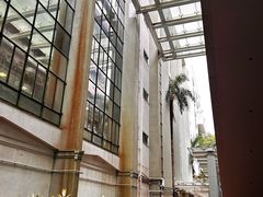 -香港大学