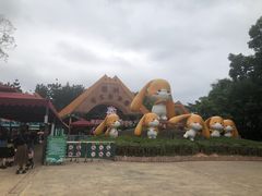 -深圳野生动物园