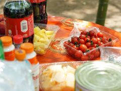 -楠溪江风景名胜区