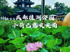 -桂湖森林公园