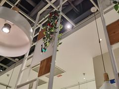 -Aqua Oasis 水天堂(石路天虹店)