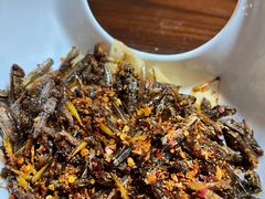 -园林美食城·本土农家菜(杨和镇店)