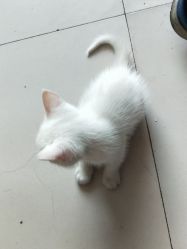 -北京怡德医院妇儿健康中心