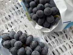 -马陆小张葡萄园农家乐