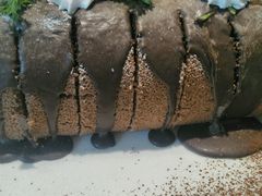 -莫奈花园餐厅(麦迪逊花园店)