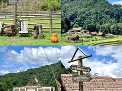 -龙岩森林水乡景区
