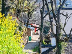 -塔川景区