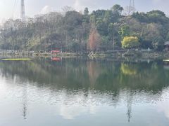 -重庆彩云湖湿地公园