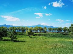 -野鸭湖国家湿地公园
