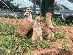 -秦皇岛野生动物园