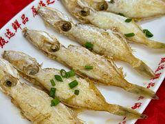 -蛇口康乐快餐鱼仔档(翠苑小区店)