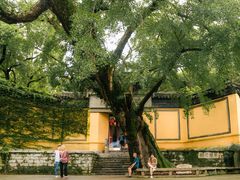 -惠山古镇·寄畅园