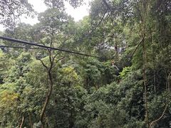 -清迈丛林飞跃 JungleFlight