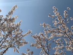 -幕燕滨江·燕子矶公园
