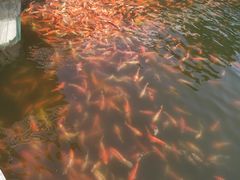 -长春市南湖公园