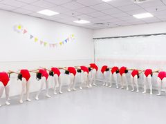 -小芳舞蹈团·少儿舞蹈·中国舞(龙江校区)