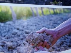 -沈阳君悦酒店·意坊意大利餐厅