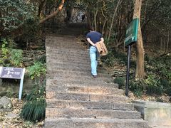 -紫金山山顶公园