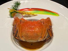大闸蟹-郑春發佛跳墙(三迪中心店)