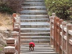 -梅岭月亮湾山体公园