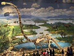 -自贡恐龙博物馆