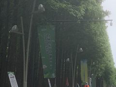 -日照海滨国家森林公园