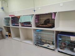 -瑞鹏宠物医院·骨科·猫科·内科(第一中心)
