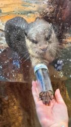 -Zoolung Zoolung动物主题公园(海信广场店)