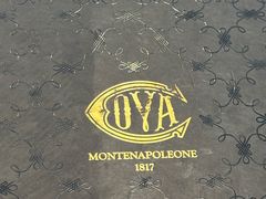 -COVA(新天地Xintiandi店)