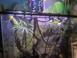 -酷嗒动物文化乐园(cutezoo西溪乐天城店)