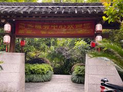 -杭州半山国家森林公园