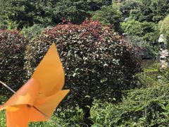 -北京西山国家森林公园