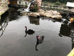 -八景休閒山莊  廣東十大名山莊